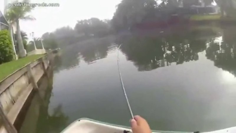 钓鱼视频教程