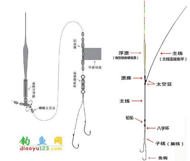 钓鱼技巧：提升你的渔猎技能