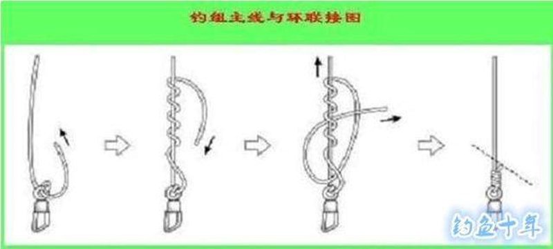 海钓的魅力与基本知识
