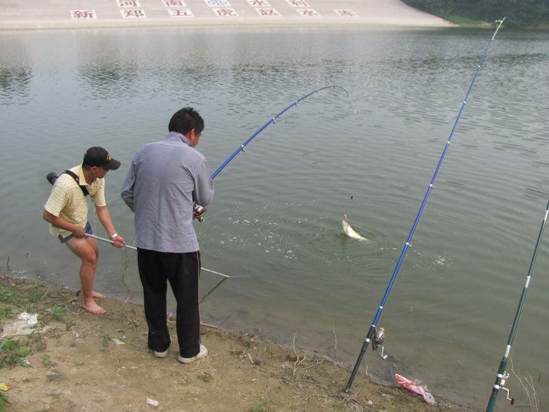 钓鱼入门指南：选择最适合你的钓具